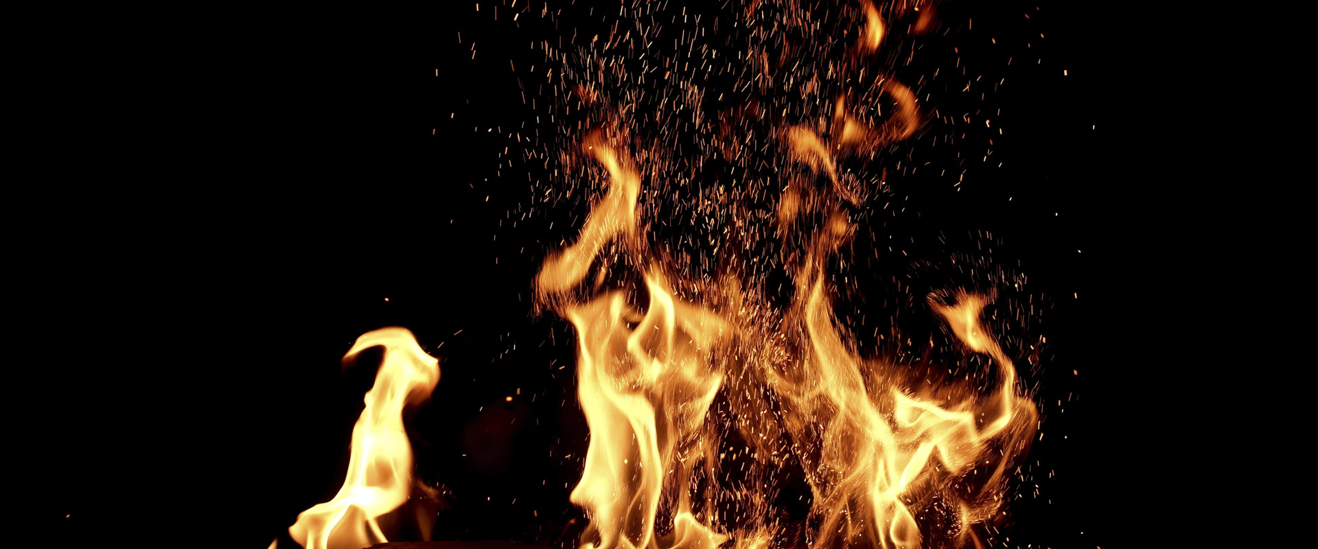 unser Team Kurt Gnass & Sohn e.K. in Hamburg